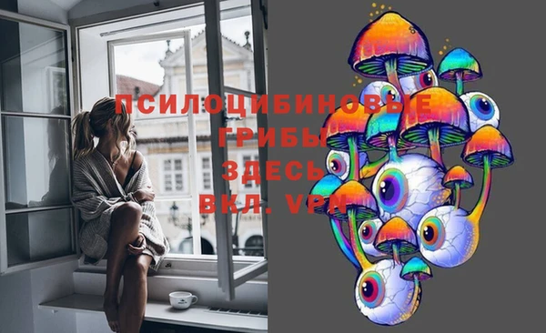 синтетический гашиш Алексин