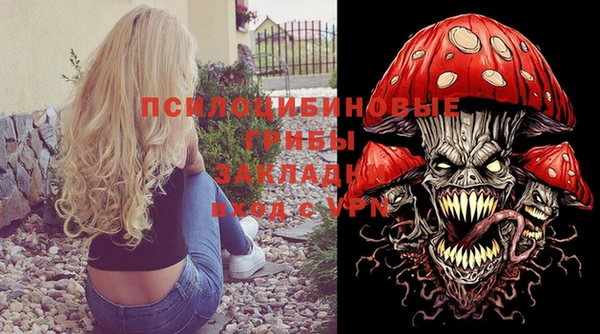 дмт Алексеевка