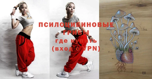 дмт Алексеевка