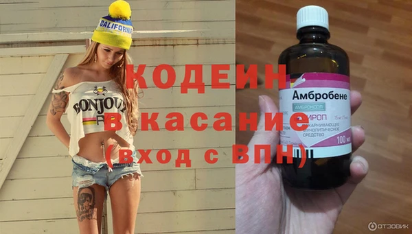 амф Алзамай