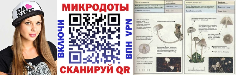 Псилоцибиновые грибы мухоморы  Хадыженск 